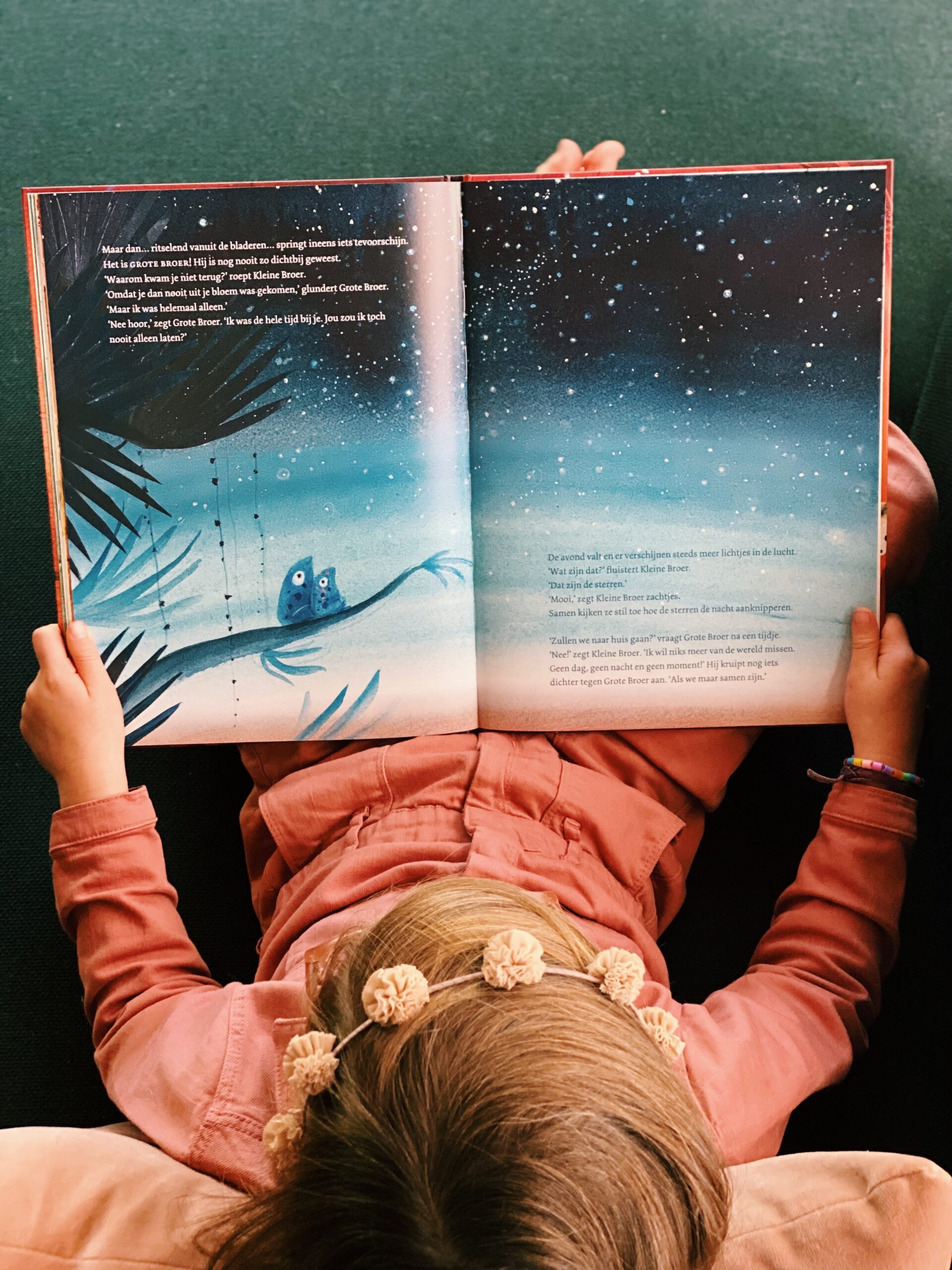 Voor Uitgelezen Kinderen – Waar is Grote Broer (nacht) Waar is Grote Broer? | Voorlezen aan kleuters