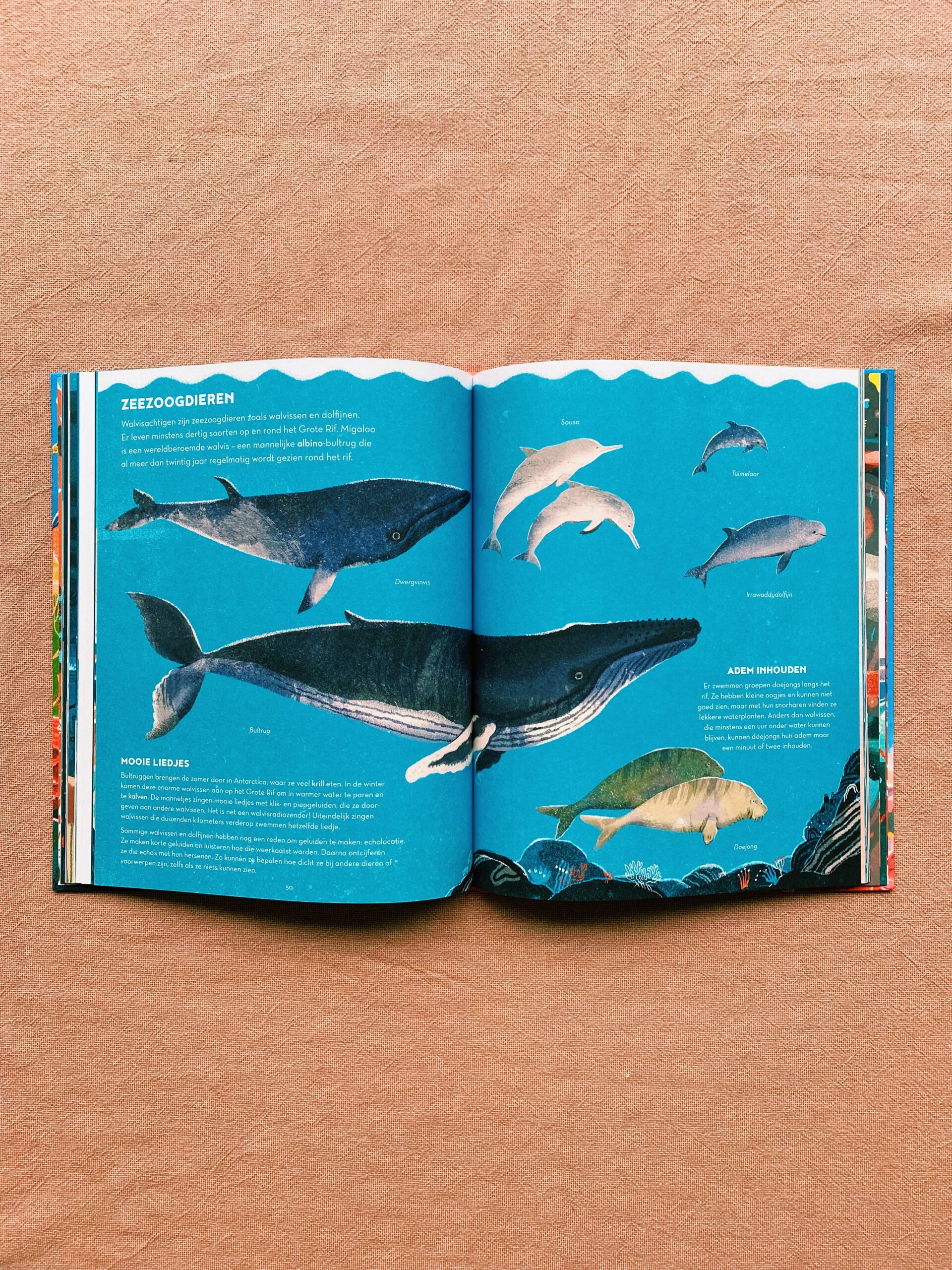 Processed with VSCO with c1 preset Het Grote Rif | Weetjesboeken