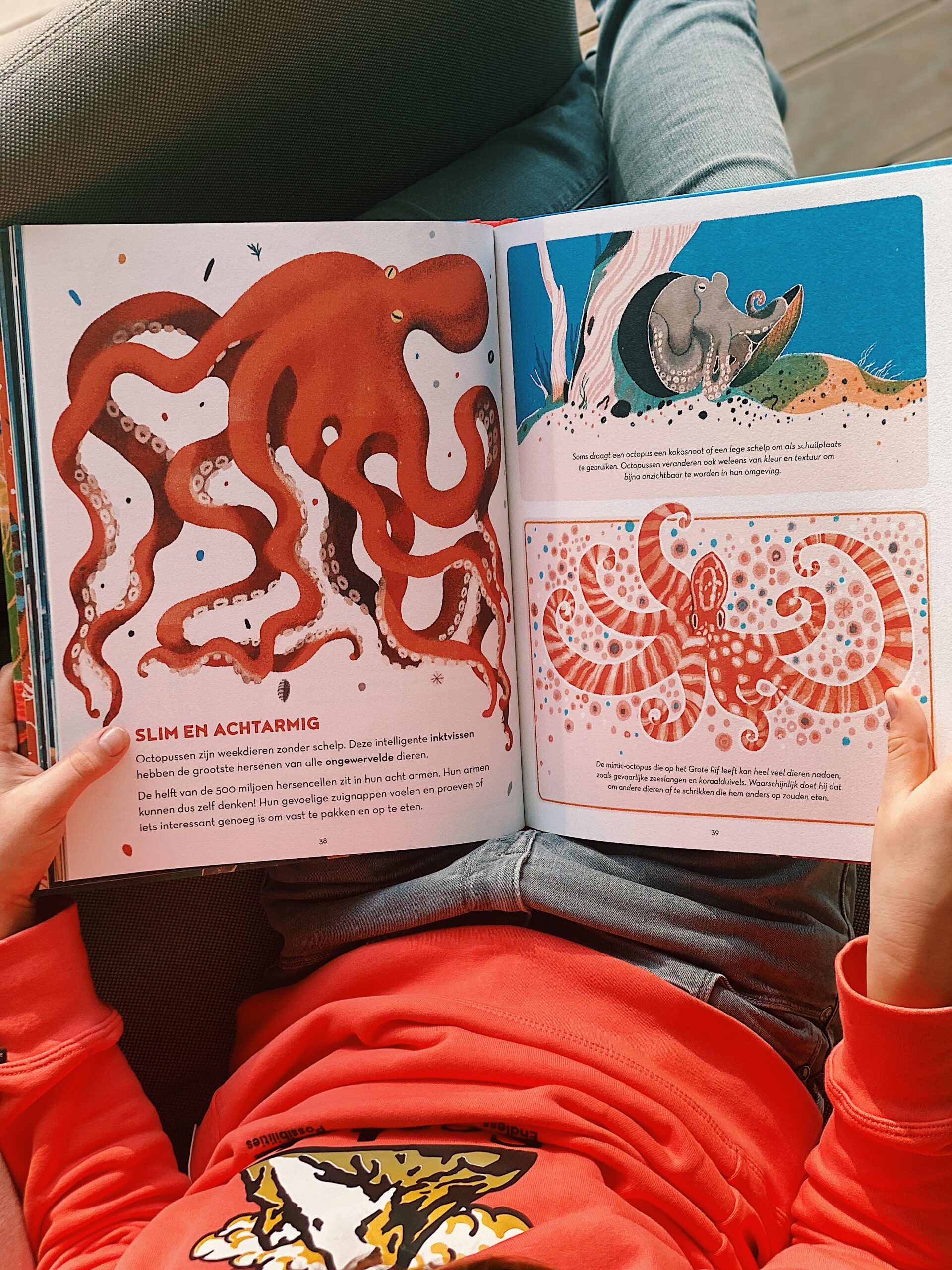 Processed with VSCO with c1 preset Het Grote Rif | Weetjesboeken