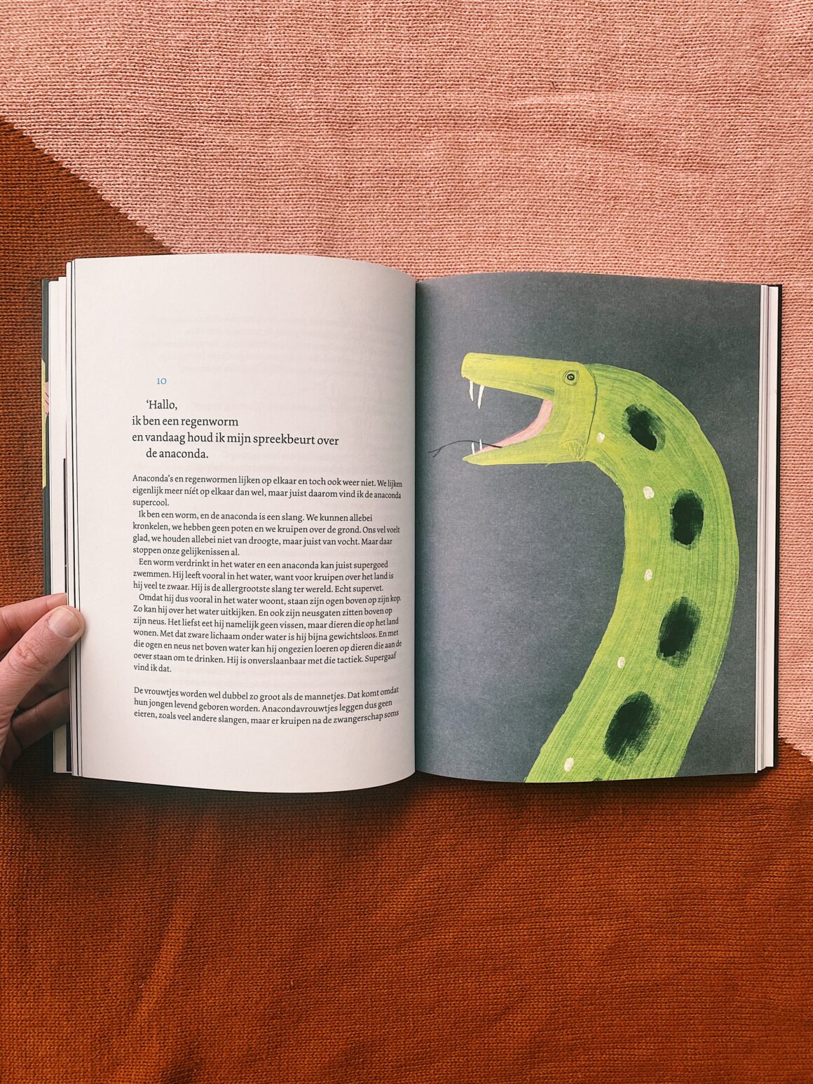 Vandaag houd ik mijn spreekbeurt over de anaconda | Weetjesboeken