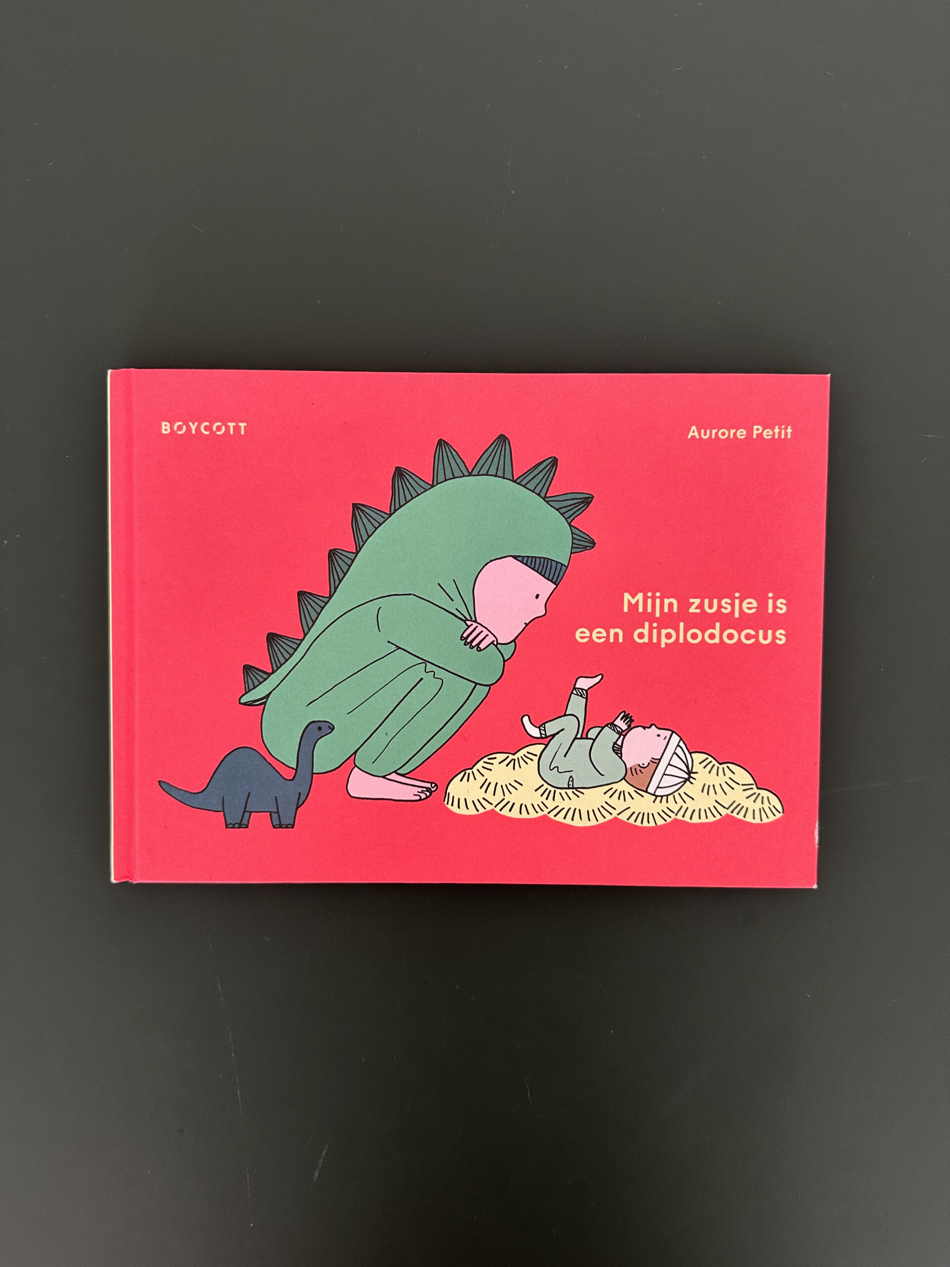 IMG_1515 Mijn zusje is een diplodocus | Eenvoudige verhalen
