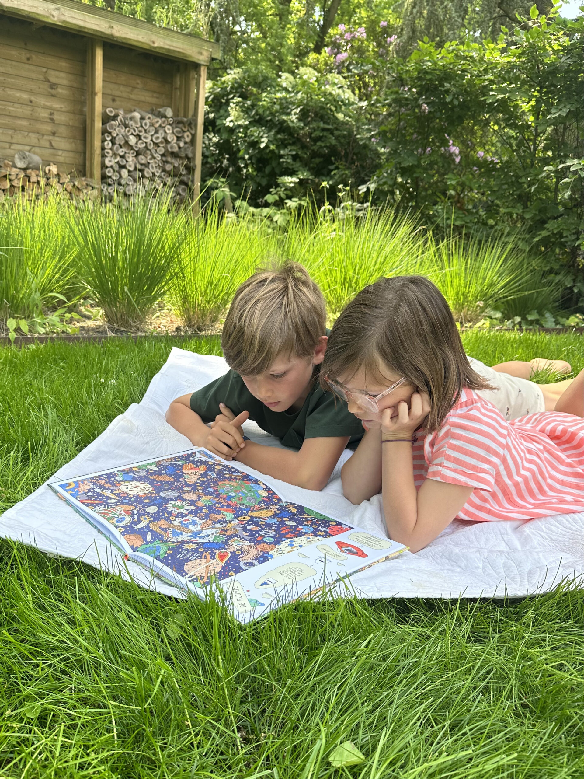 IMG_1866 Dino Detective | Zoekboek