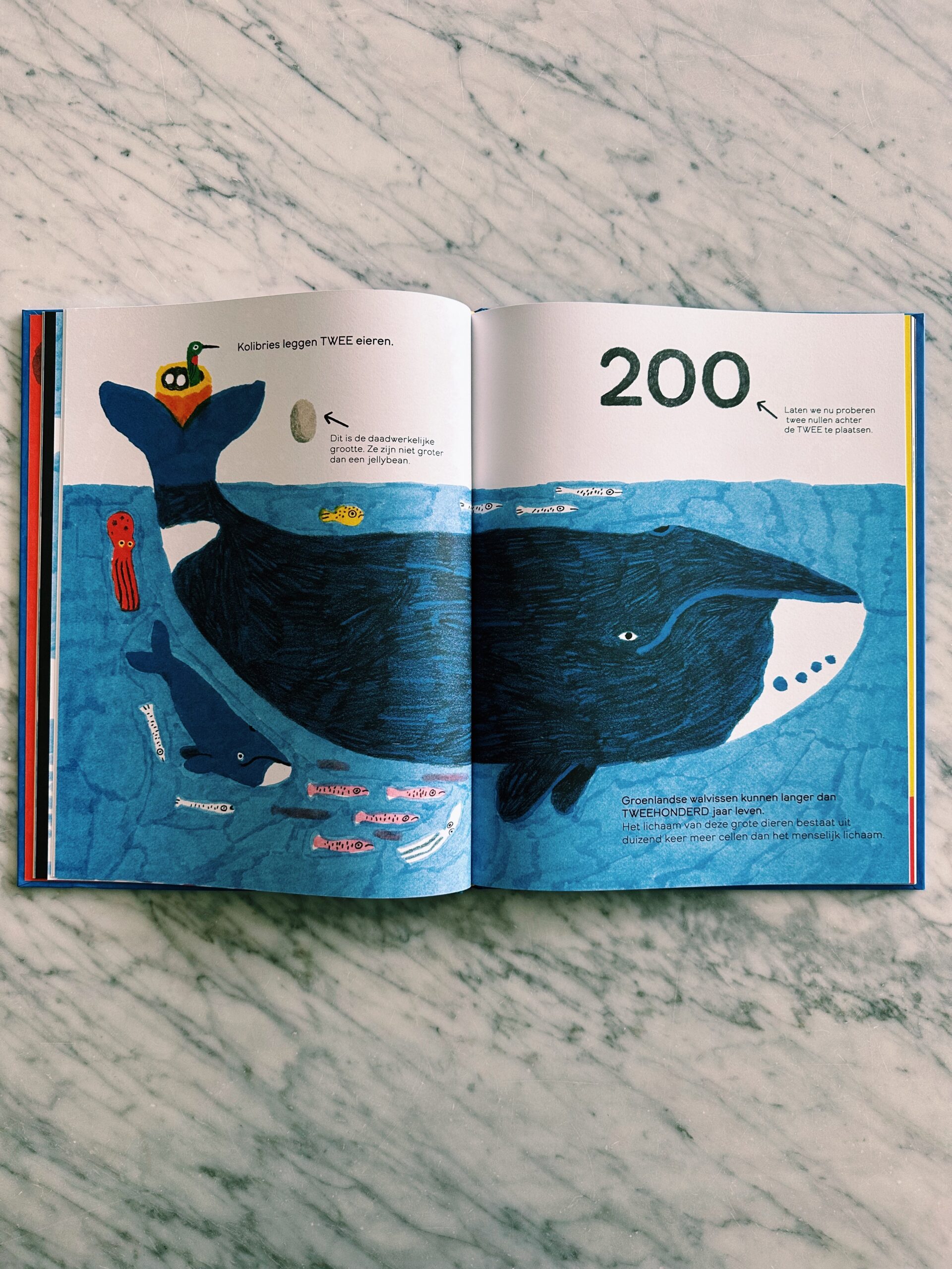 Processed with VSCO with c1 preset Een octopus heeft nul botten | Weetjesboeken